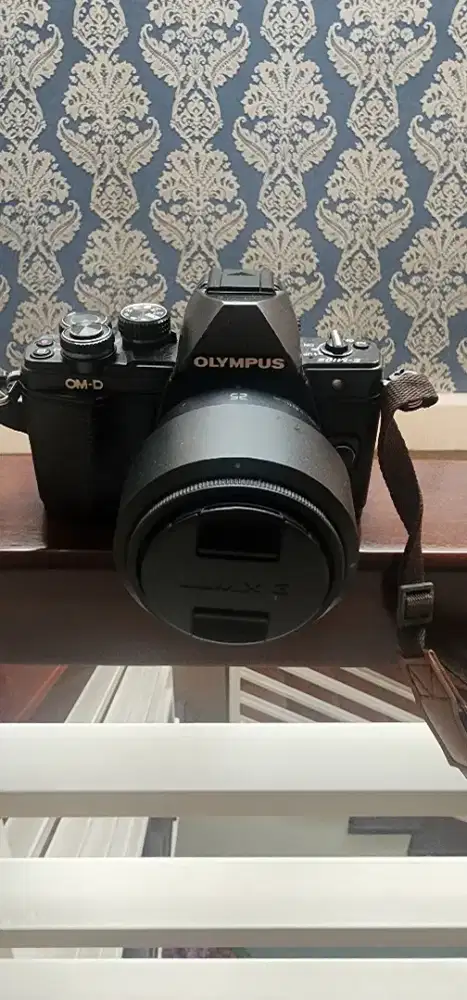 Olympus OMD EM 10 Mark ii
