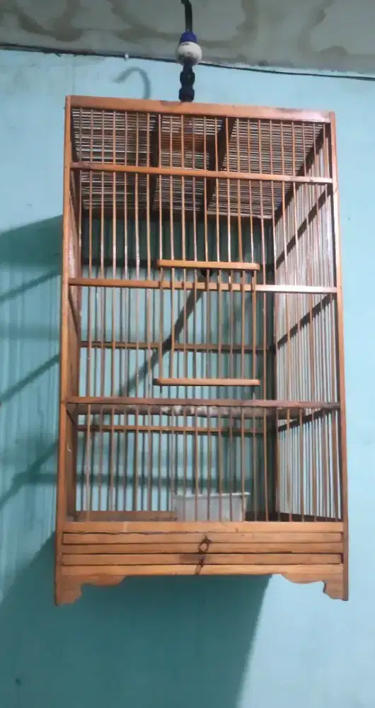 Sangkar burung murai