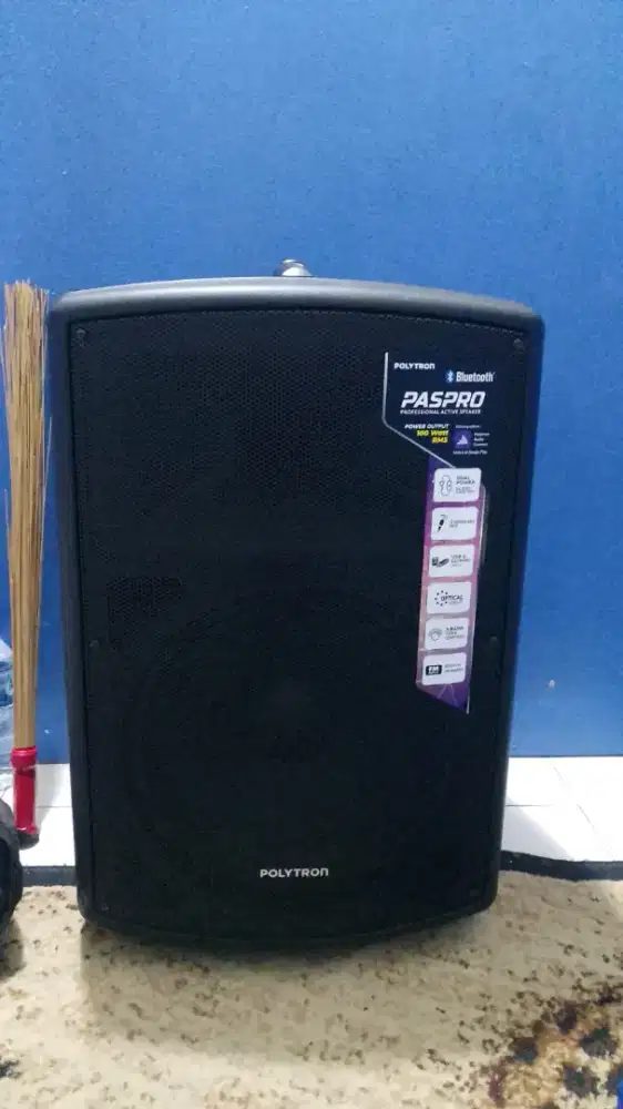 SPEAKER POLYTRON 12 IN PORTABLE-12F3/ Salon cas bluetooth