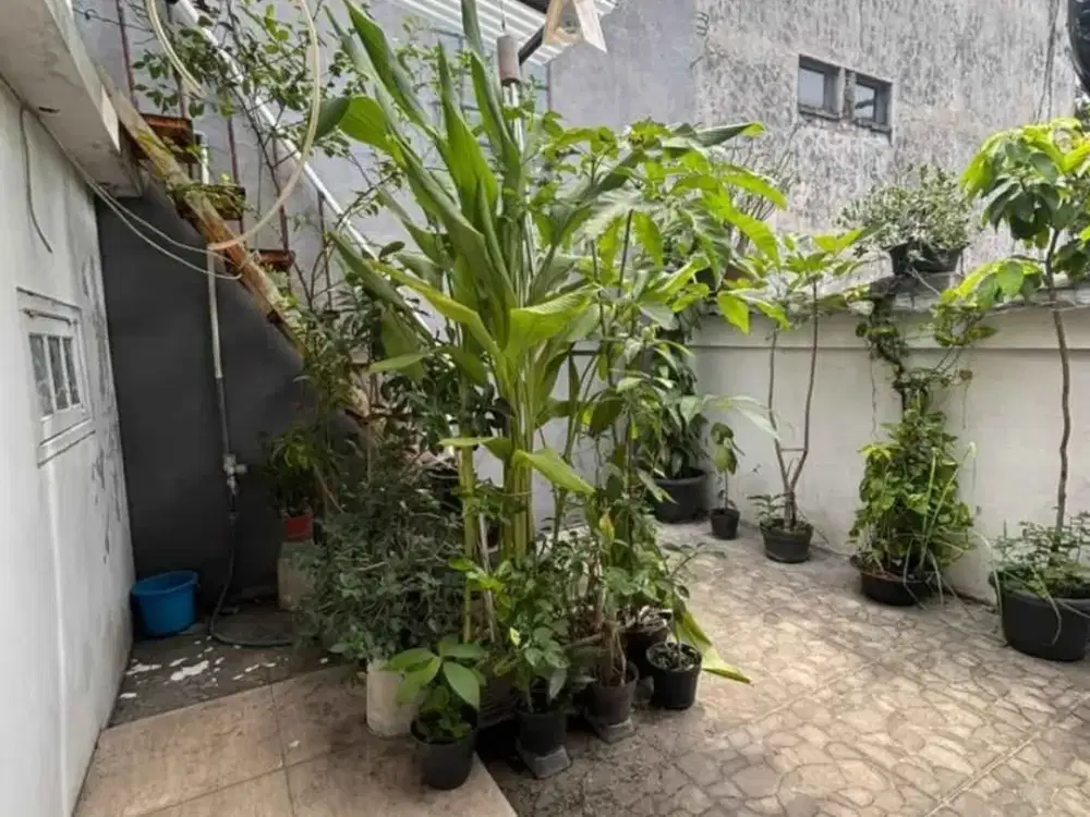 Dijual Rumah Murah Lokasi Strategis Baratajaya