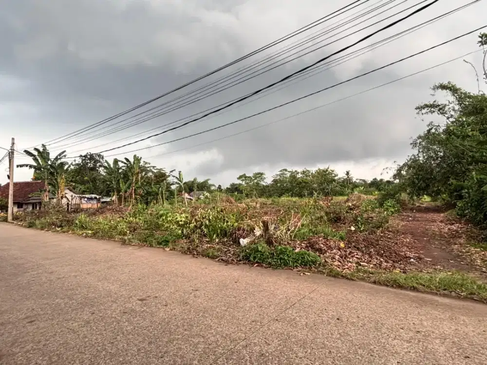 Langsung Tepi Jalan Mekarwangi, Kavling SHM 1 Juta-an Permeter Cisauk