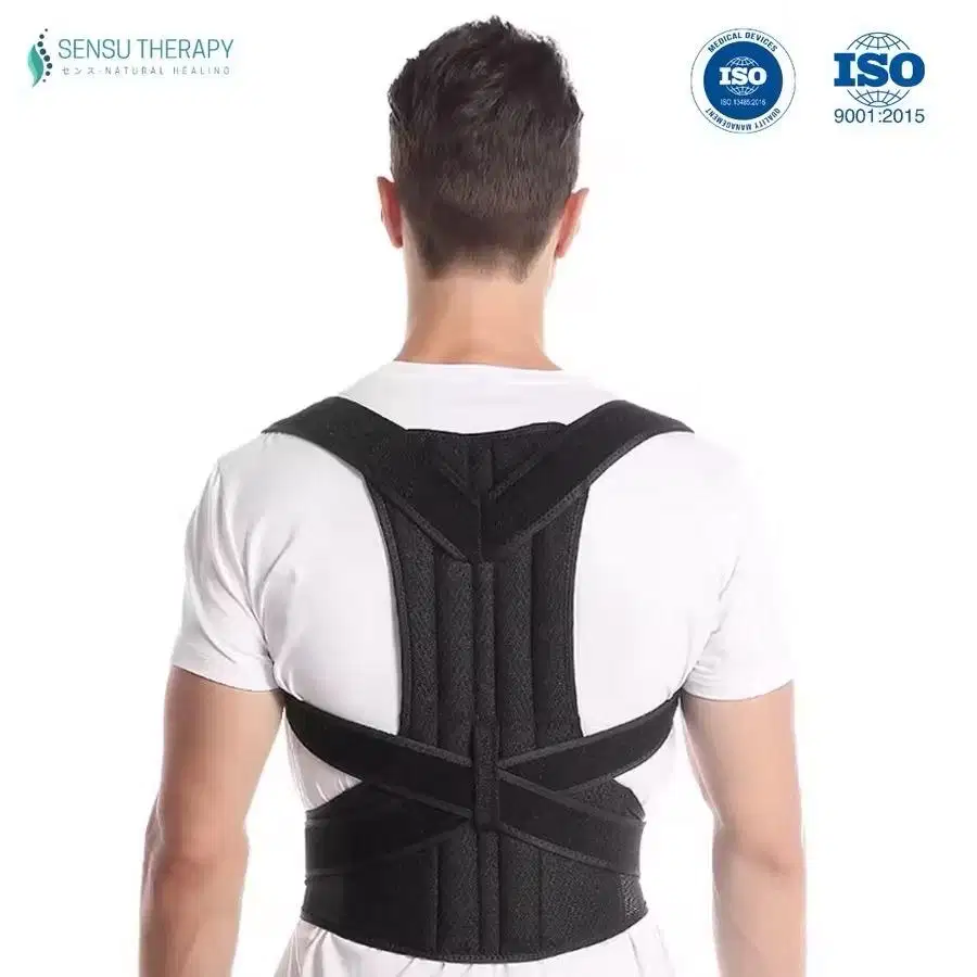 Sensu Penyanggah Punggung Original alat terapi punggung preloved