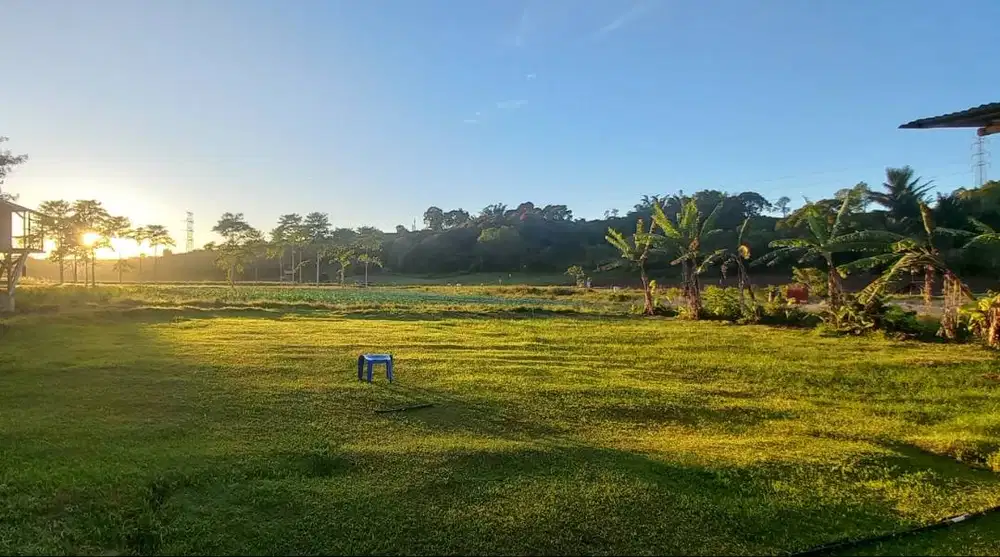 Di jual Tanah Produktif untuk Agro dan Villa