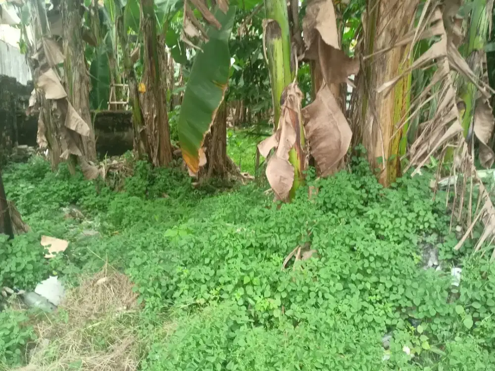 Kavling Potensial Pusat Kota Bogor Cocok Untuk Investasi Free SHM 3 Menit Stasiun Bogor