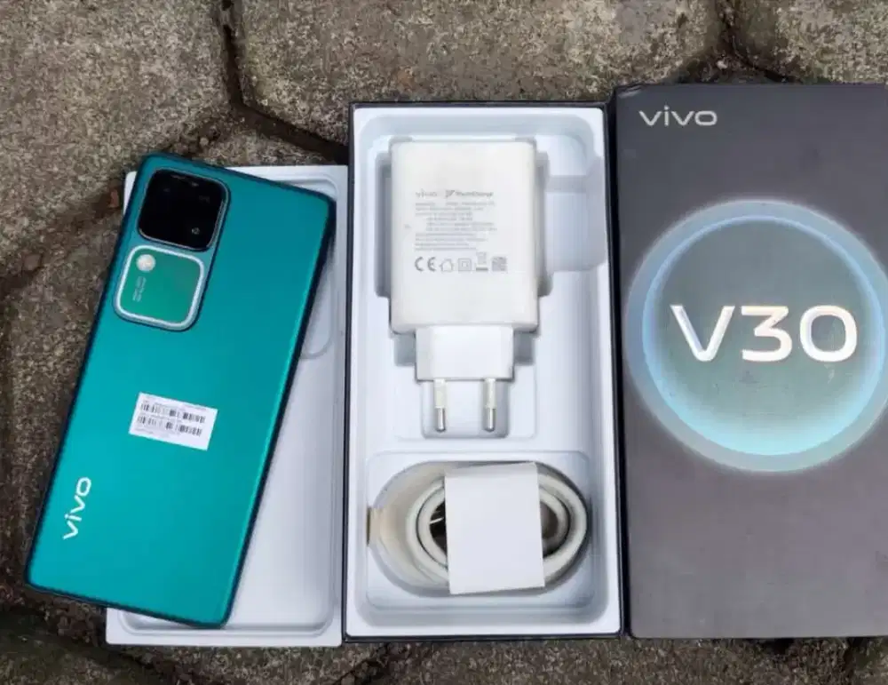 Vivo V30 5G 8/256