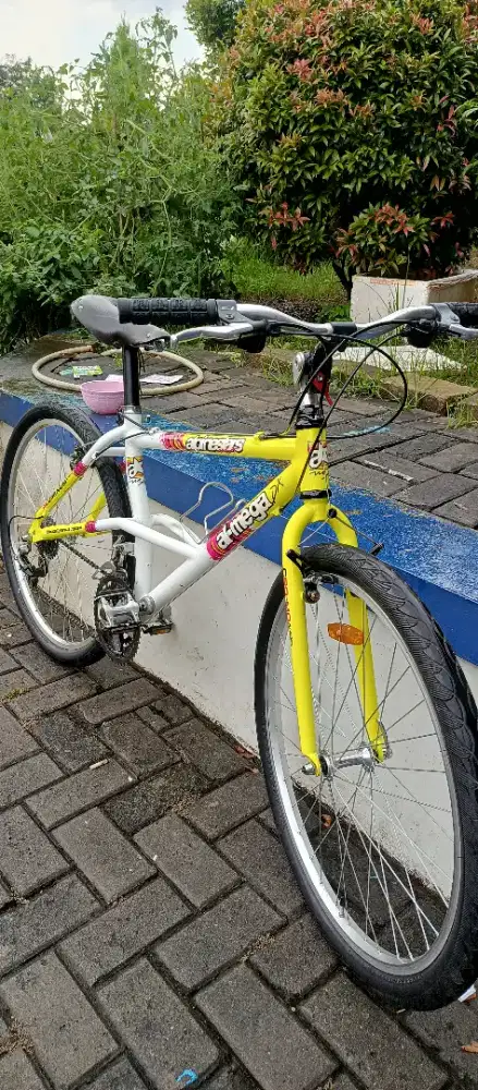 Sepeda ALPINESTARS AL MEGA DX