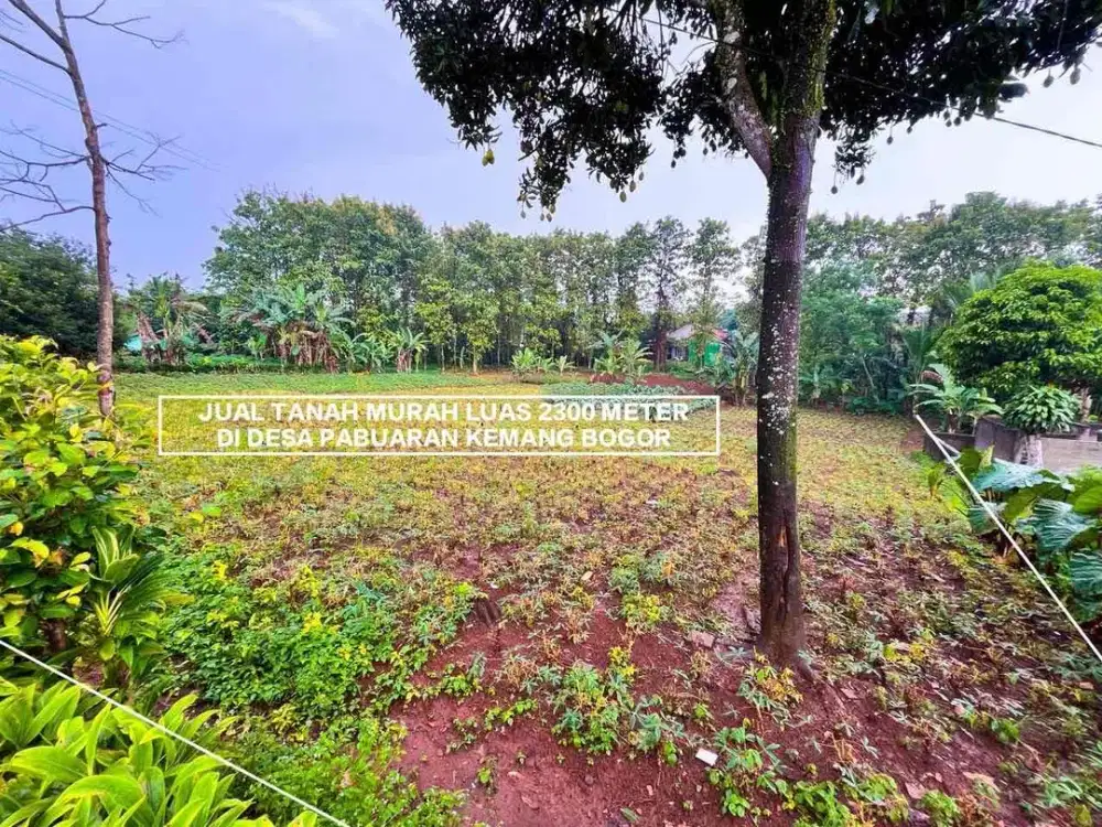 TANAH KEBUN MURAH DI DESA PABUARAN KEMANG BOGOR