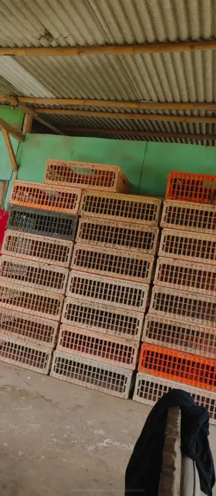 Keramba ayam / keramba bebek