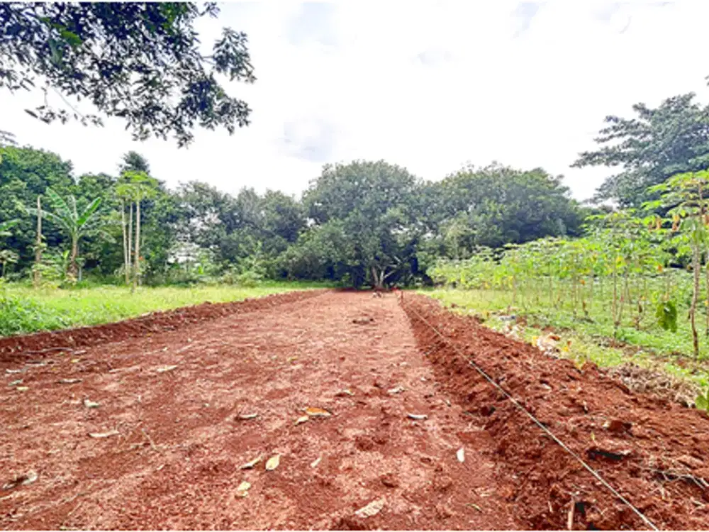 Kavling 1 Jt-an Dekat Pasar Setu, SHM Terjamin