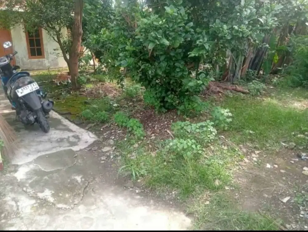 Jual tanah murah di depok