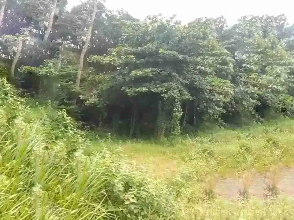 TANAH KOMERSIAL DISEWAKAN – LOKASI BISNIS STRATEGIS