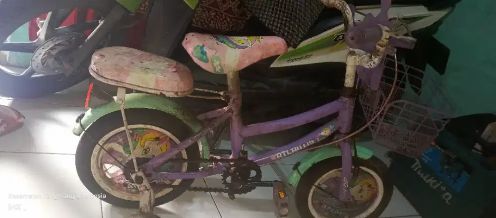 Sepeda anak umur 1 sampai 5 tahun