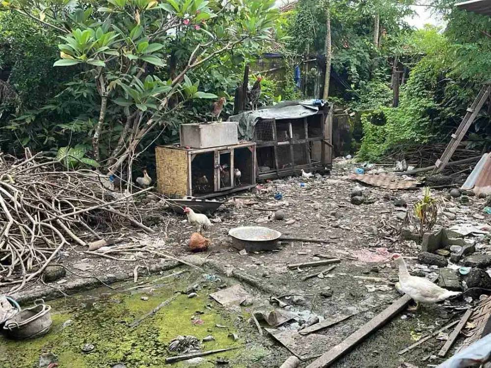 DIJUAL TANAH LOKASI JALAN NANGKA TONJA