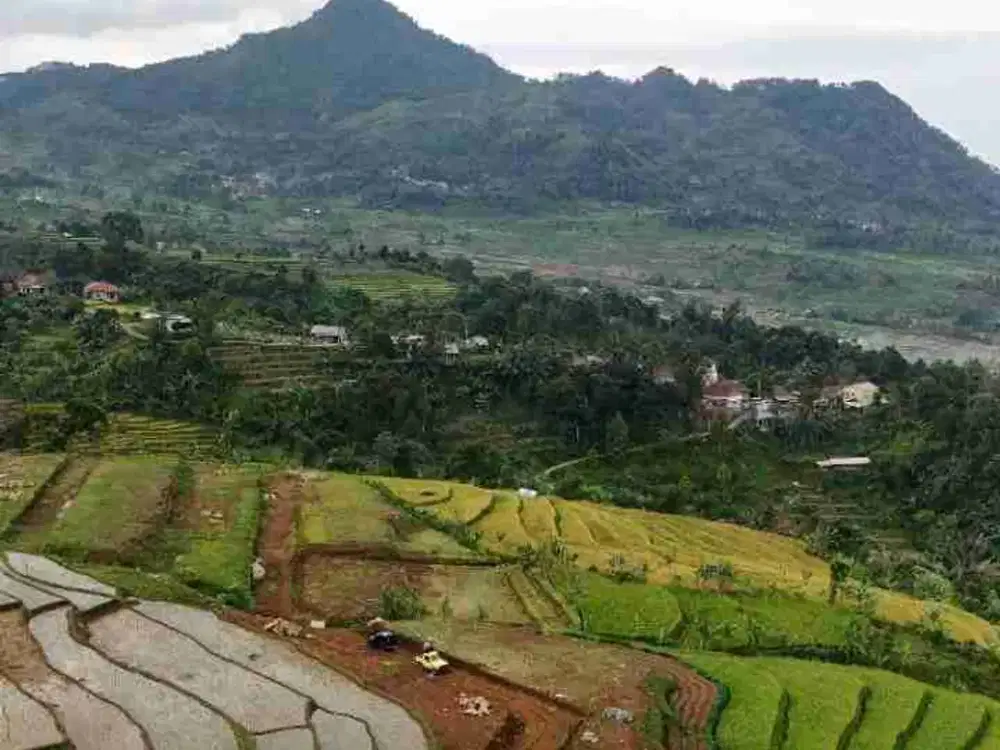 Jual Tanah SHM Murah View Sawah Mewah Nempel Wisata