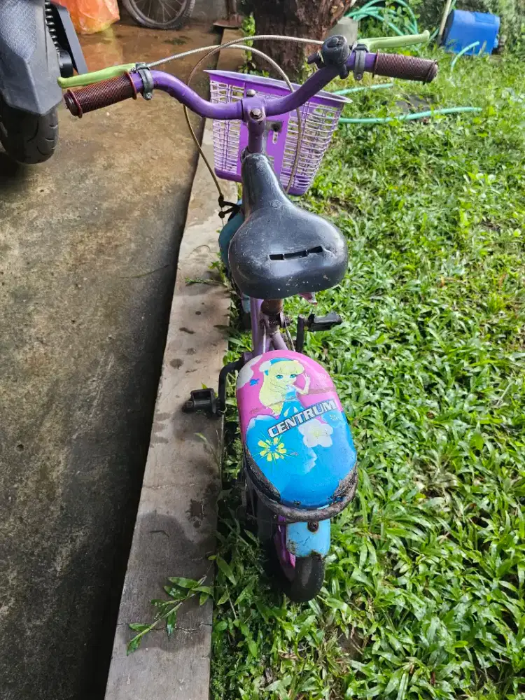 Sepeda bekas anak 3 sd 6 tahun