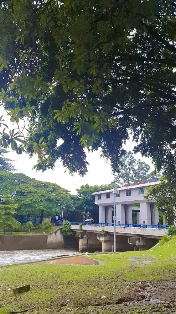 Jasa antar jemput sekolah