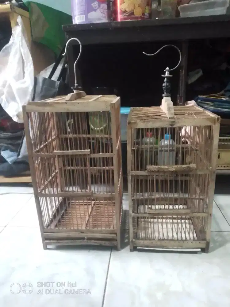 Kandang burcil masih layak pakai di BSD