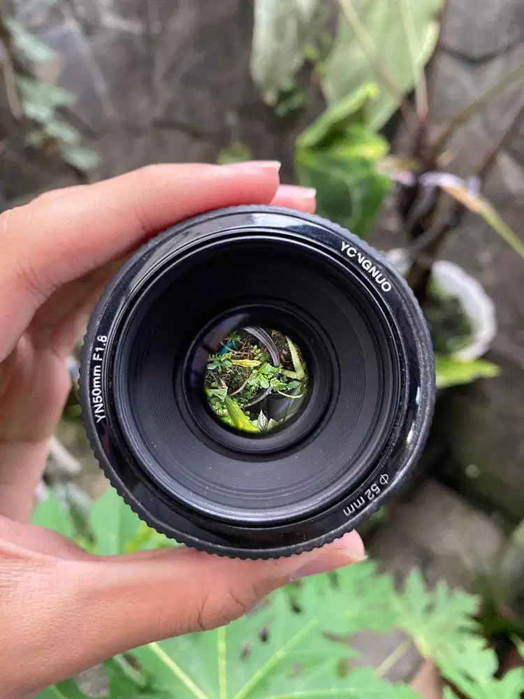 Lensa Fix Yongnuo 50mm for Canon