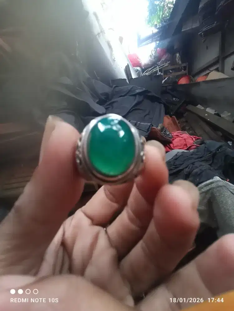 natural bacan gulau kura lawas HQ