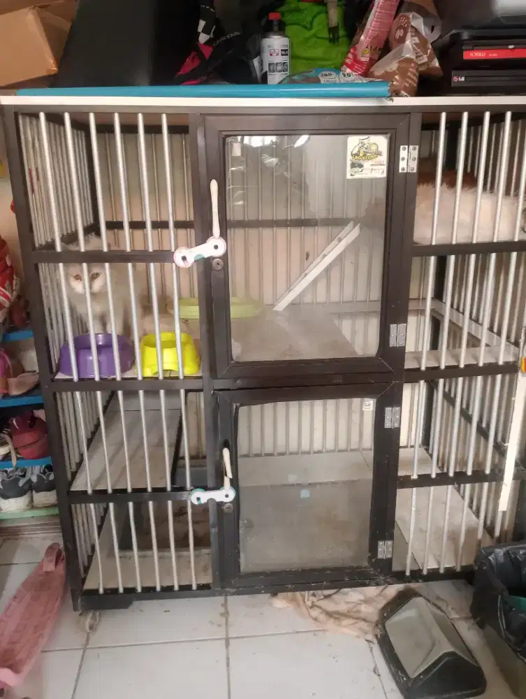 LA 2kucing+Kandang Aluminium NEGO
