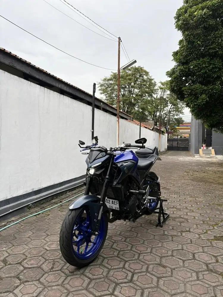 YAMAHA MT-25 2023