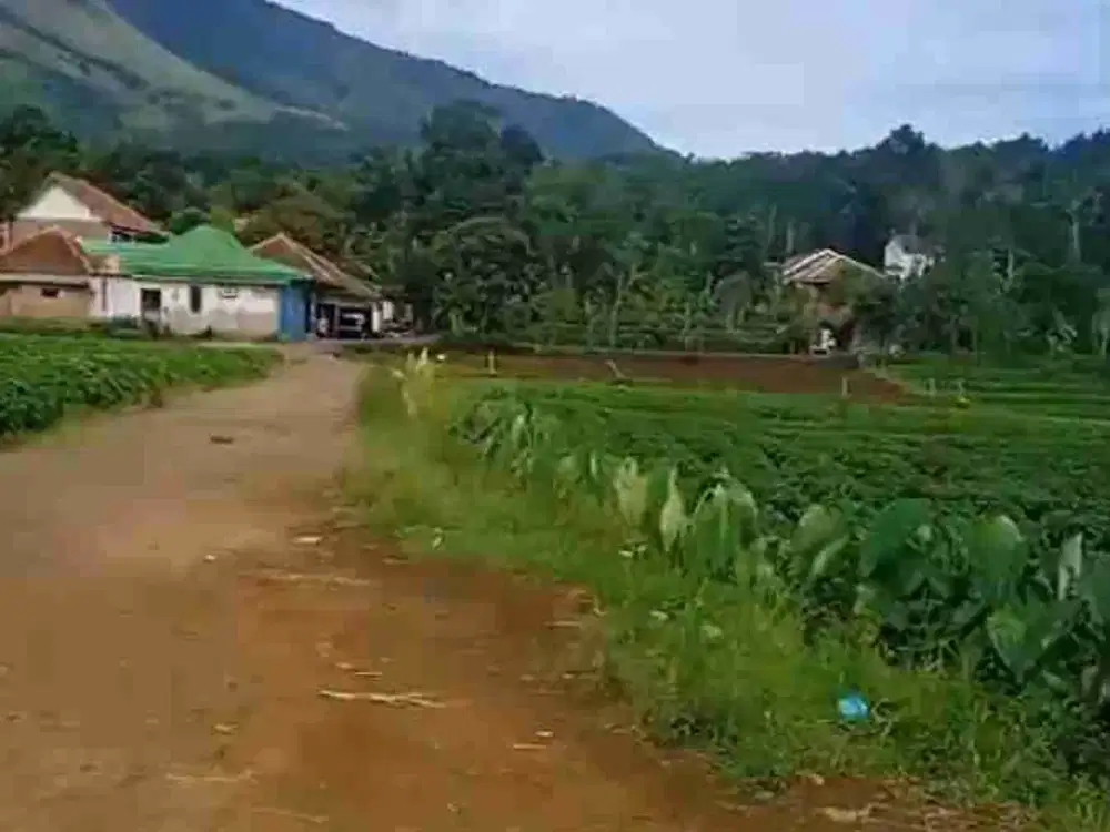 jual tanah mandirancan