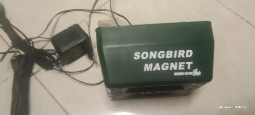 Song bird magnet