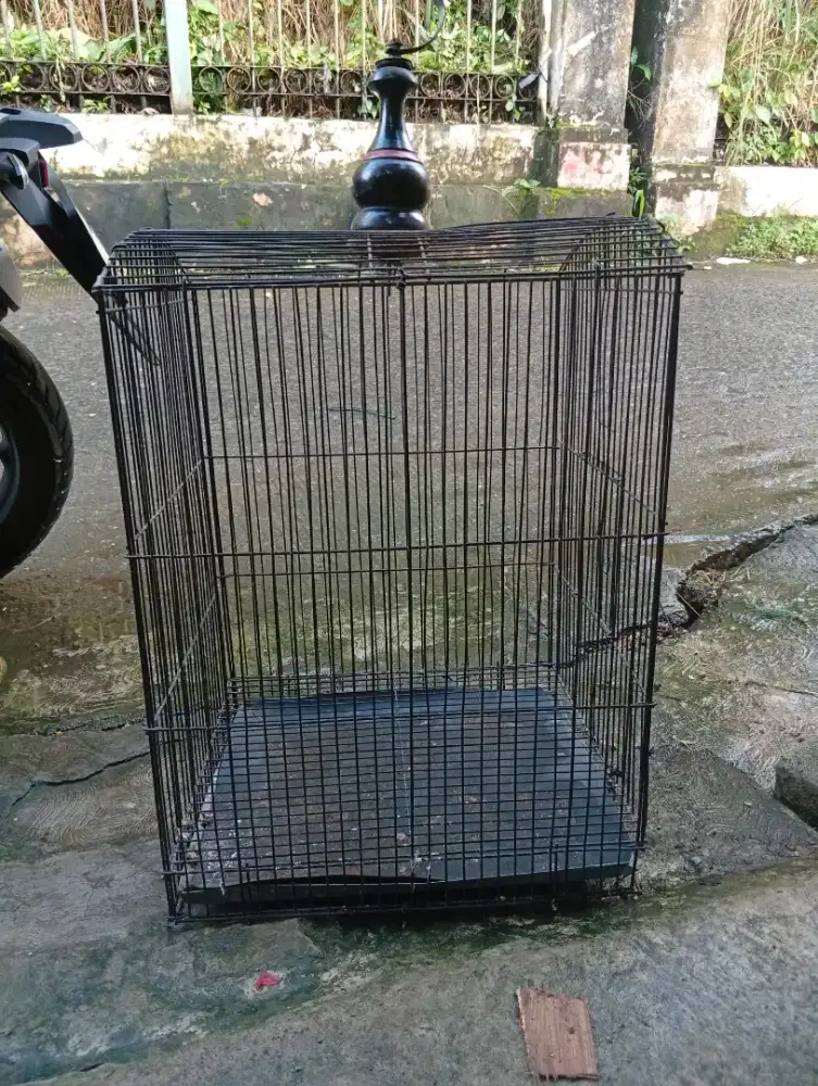 Kandang besi kotak jumbo