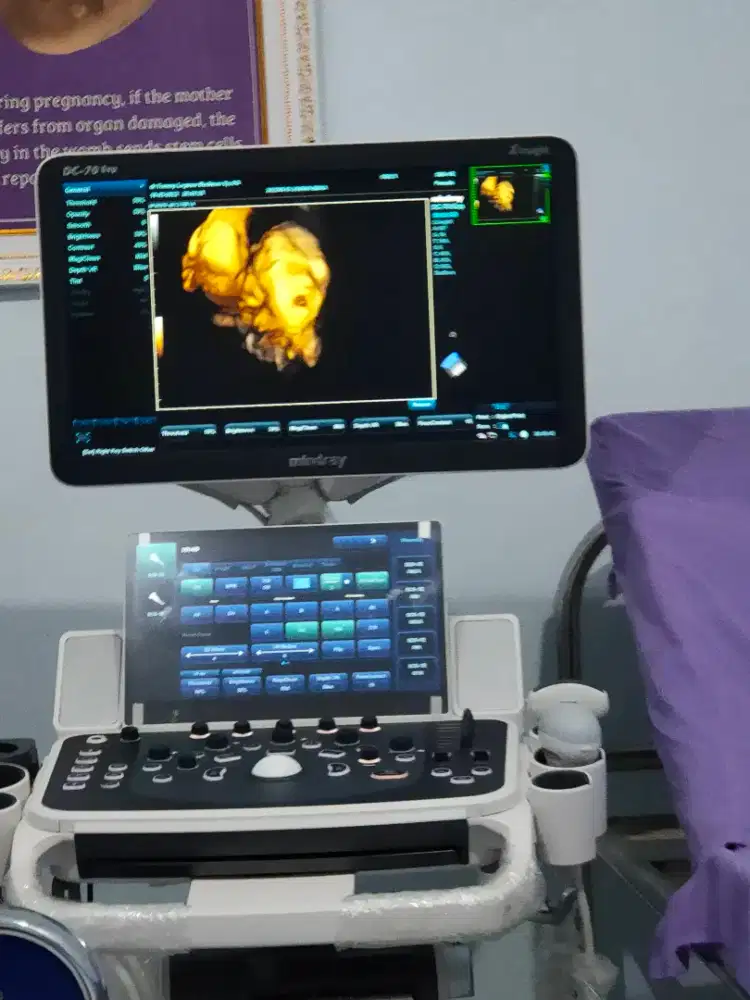 ART Asisten Rumah Tangga Pulang Pergi