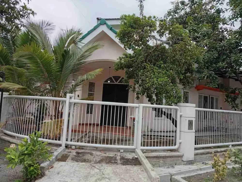 Rumah Disewakan di Rungkut Asri
