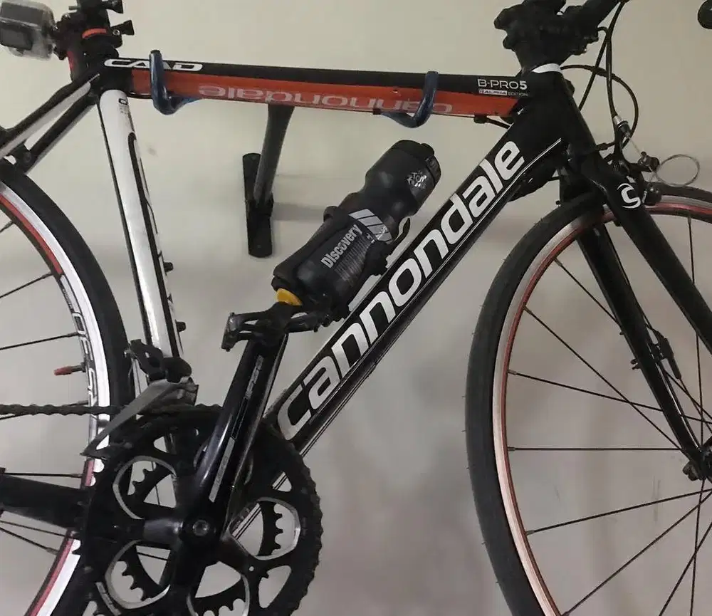 Canonndale sora (alloy)