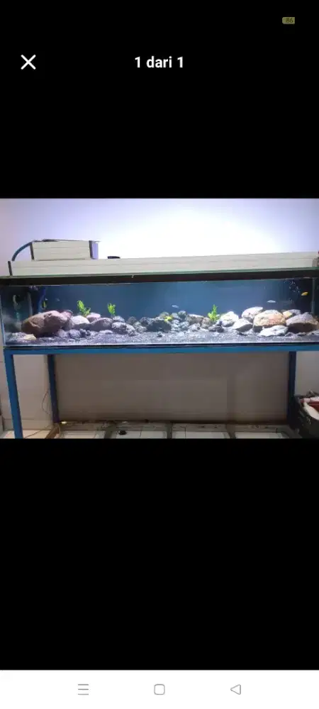 Di jual aquarium full set