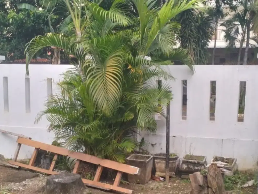 Rumah Rapi Bersih pulo gadung