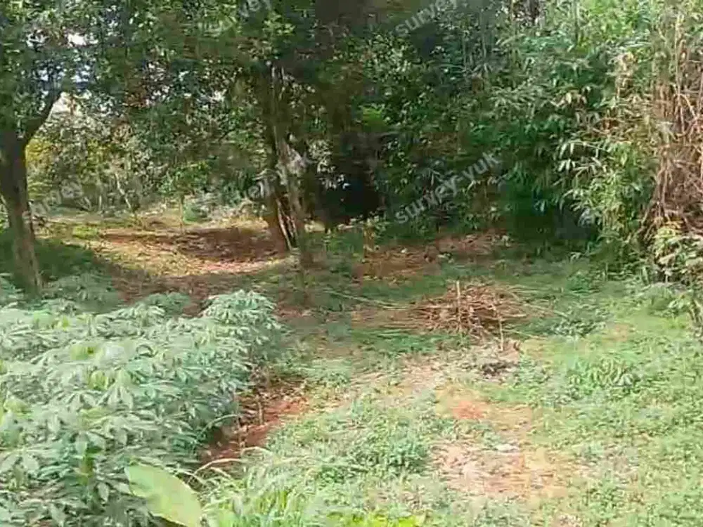 Tanah 2426 m2 SHM Murah BU akses mobil Di sawangan -Depok