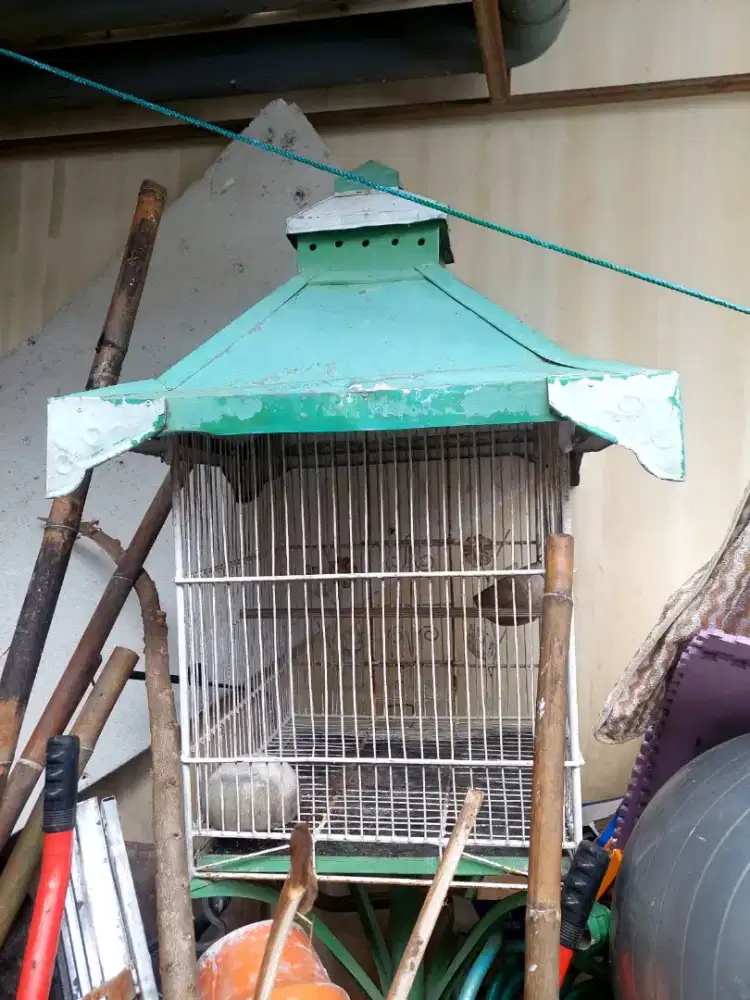 Dijual Kandang Second Besi Burung