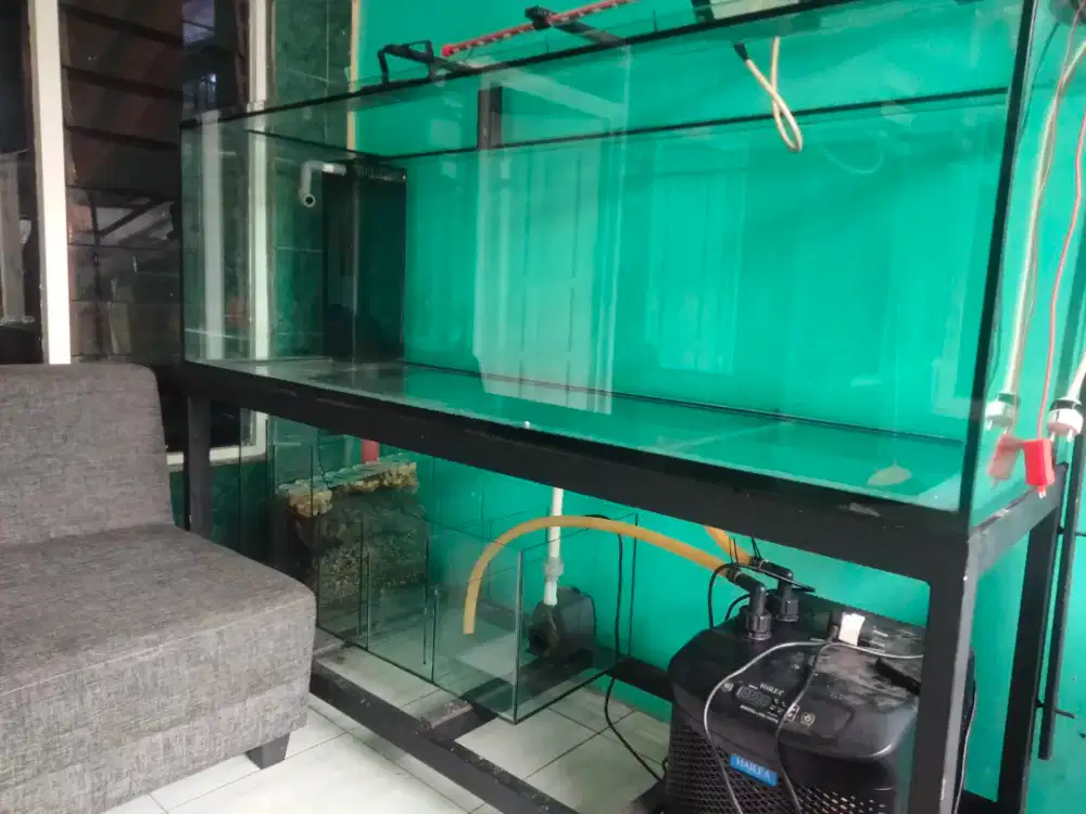 Aquarium ikan edisi mutasi