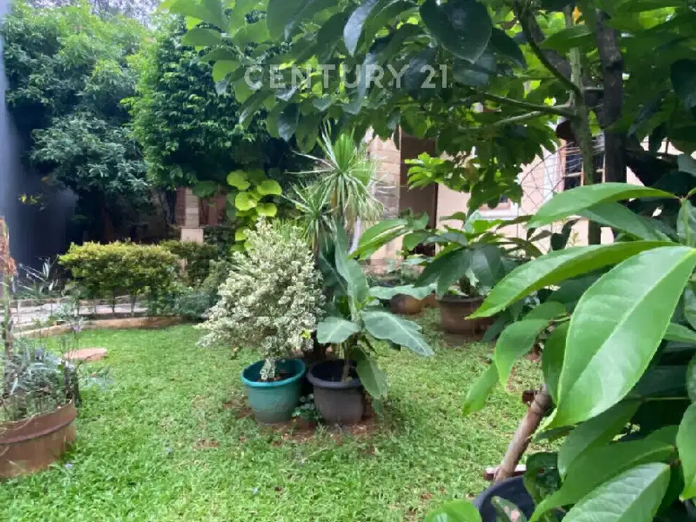 Hunian Luas Dengan Taman Yang Terawat Diciputat