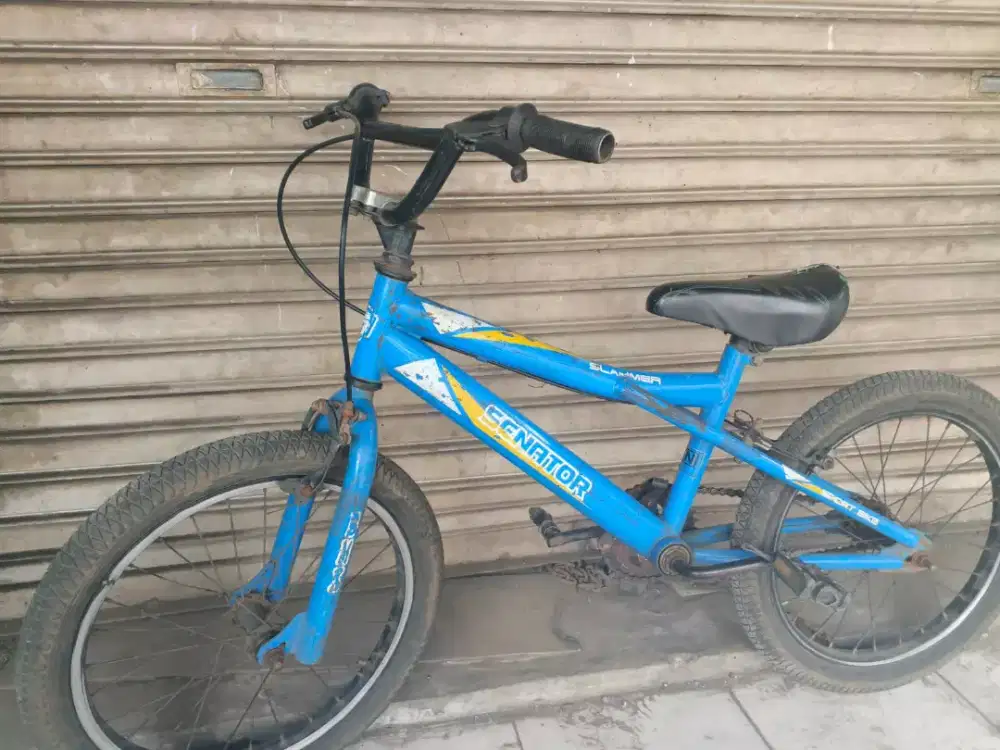 Sepeda anak ukuran 18inc senator