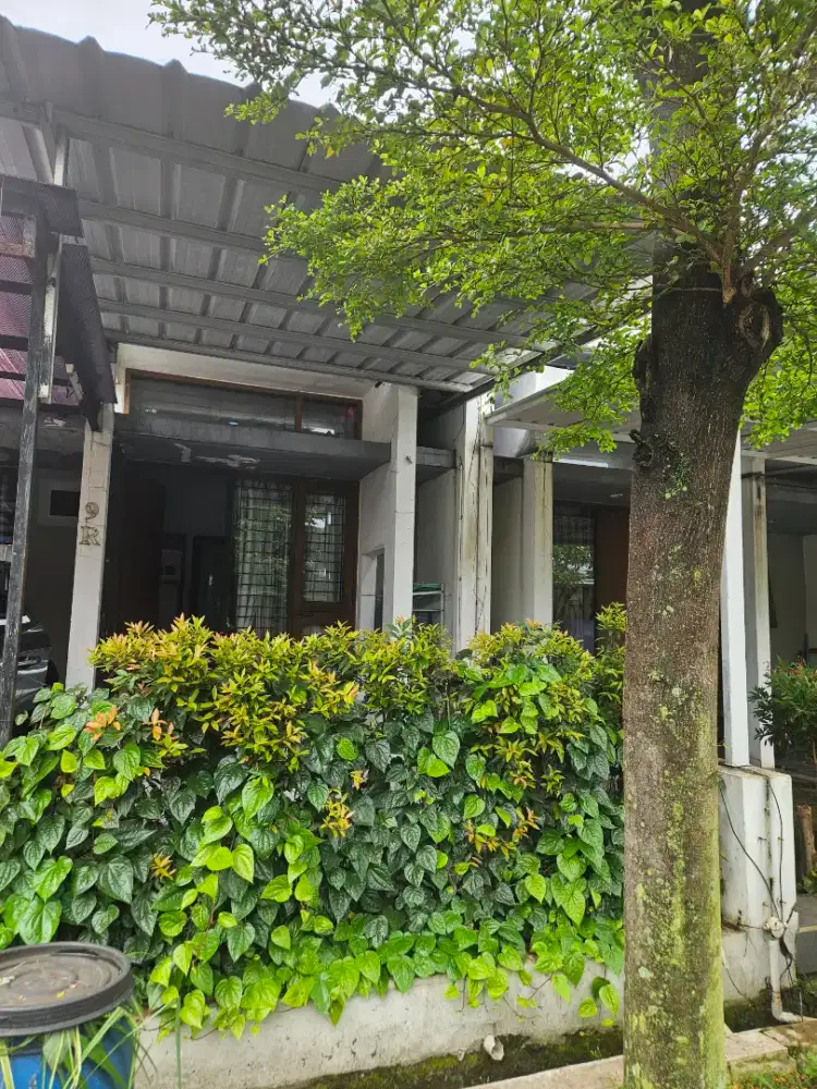 Disewakan rumah tinggal 3 kt di cherifield