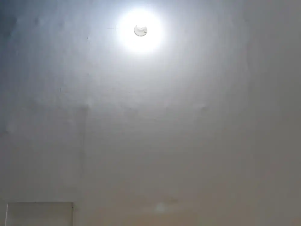 Art sekaligus perawat lansia