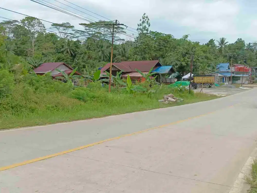 Bismillah dijual Tanah Termurah IKN 1 Ha SHM Pinggir jalan Raya