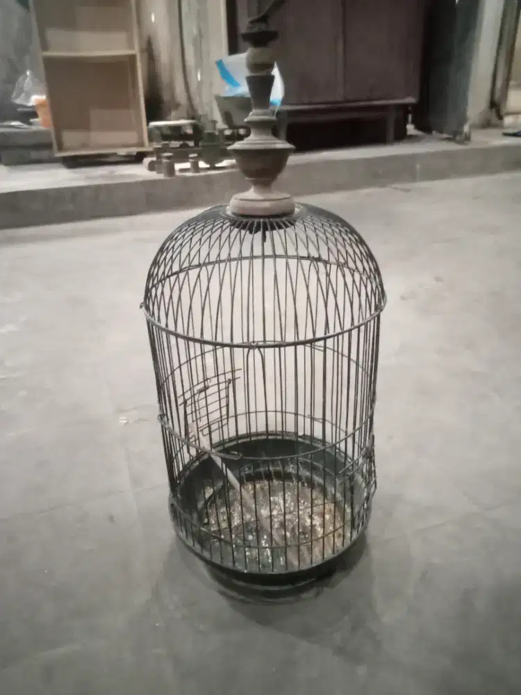 kandang besi minimalis utuh