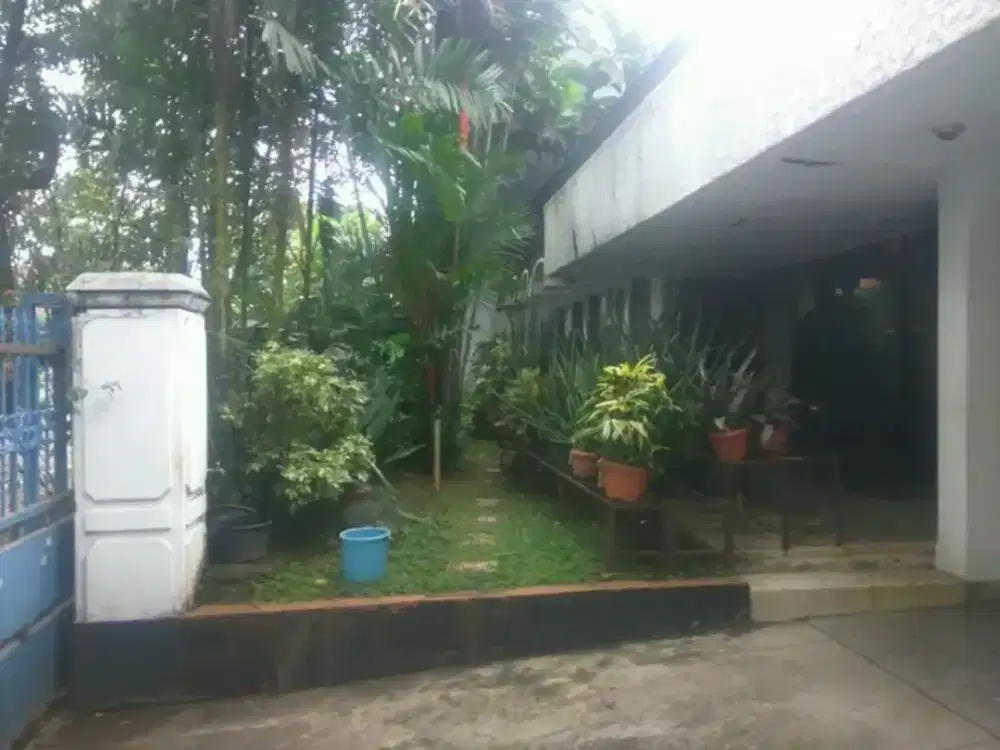 BELI TANAH DAPAT RUMAHNYA.