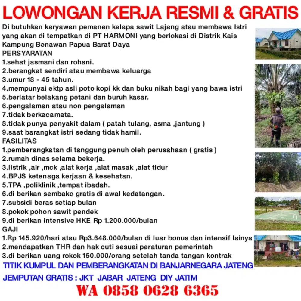 LOWONGAN KERJA GRATIS