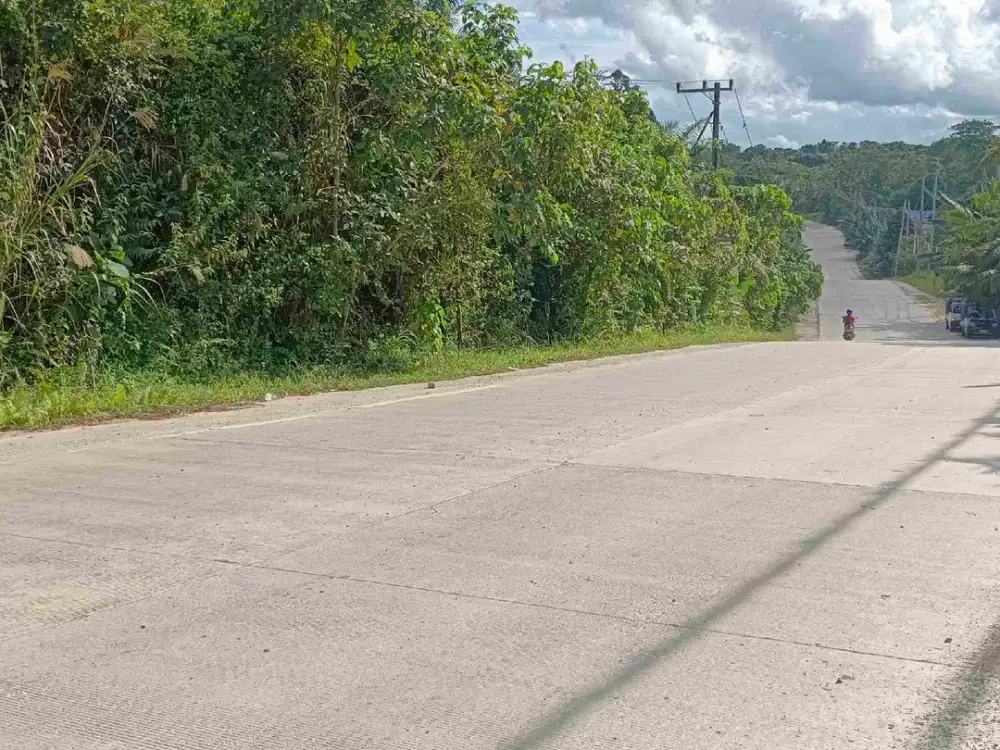 Bismillah dijual Tanah Termurah IKN 2 Ha, pinggir jalan raya hanya 10 menit menuju Istana Negara