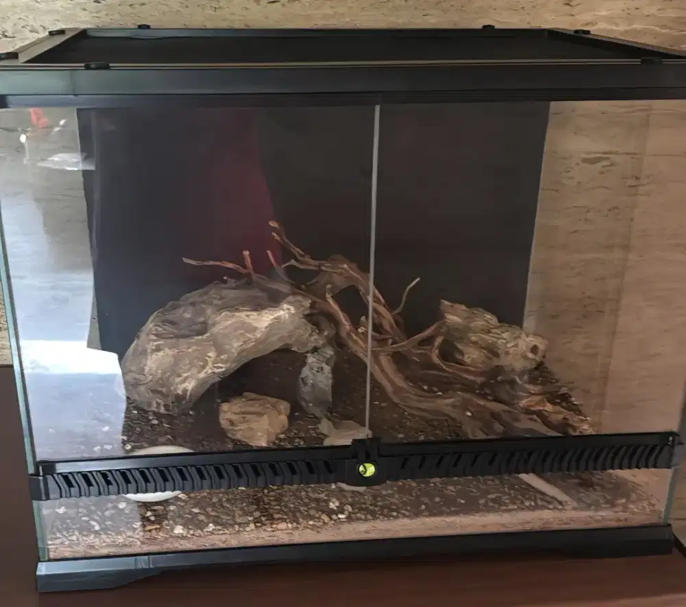DIJUAL TERRARIUM / KANDANG REPTIL – MULUS