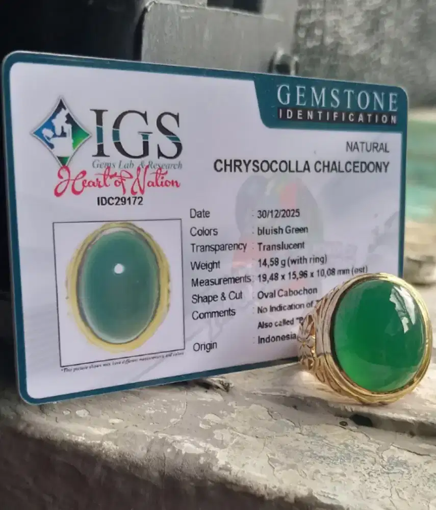 Bacan Hijau Gulao Super HQ