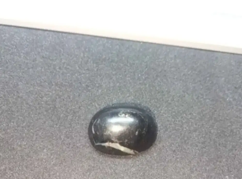 Batu Akik Hitam batu fosil galih kelor