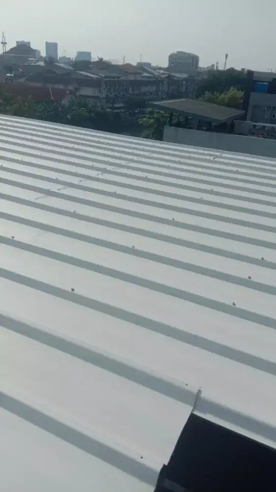 Tukang perbaikan atap bocor dan renovasi