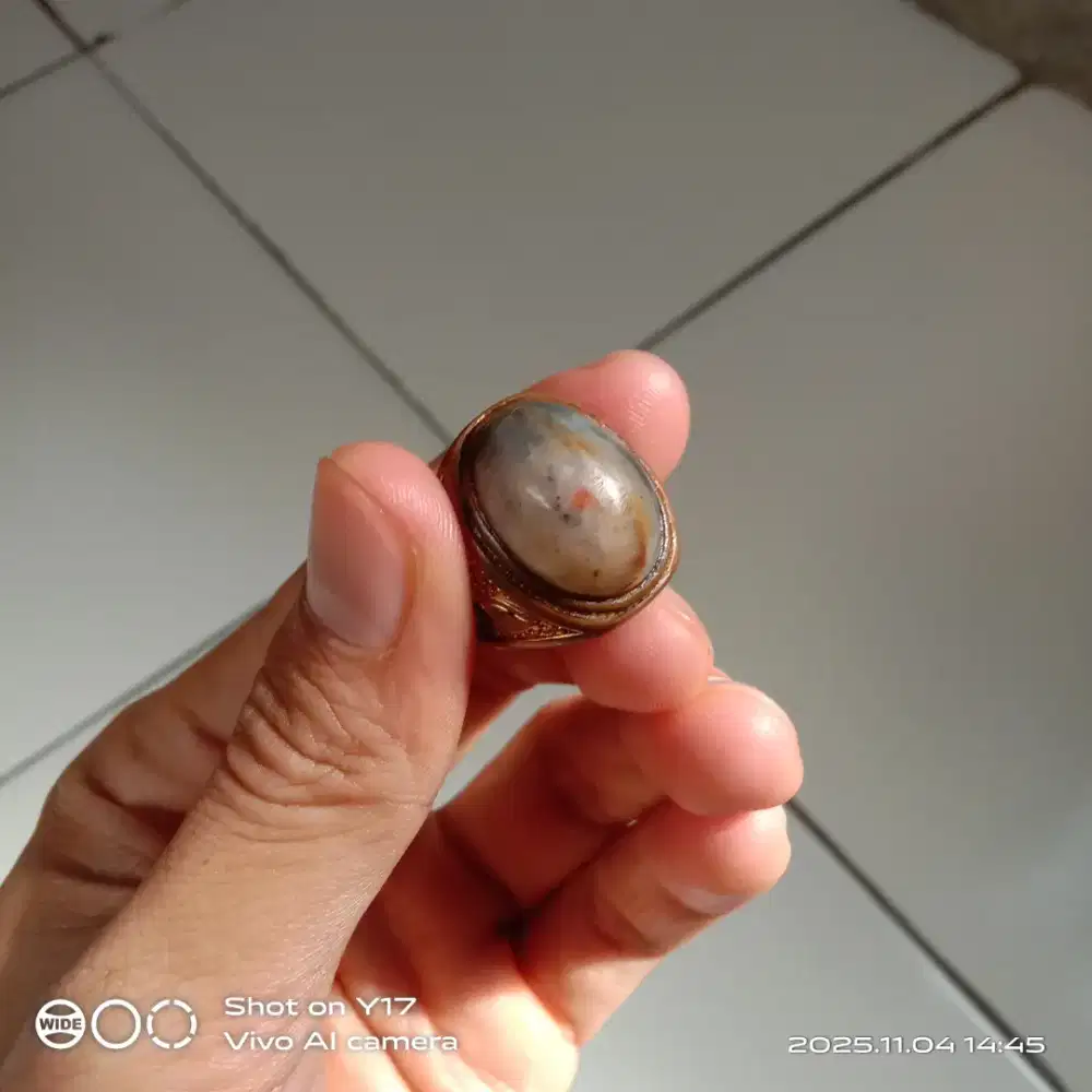 Cincin batu akik Virus Afrika